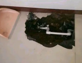 兴安卫生间测漏水多少钱